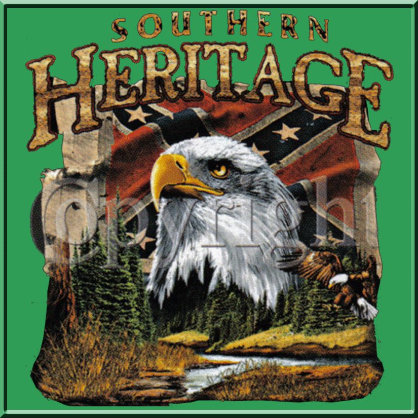 SH Eagle Confederate Heritage Rebel Flag Sport/Polo Shirt S,M,L,XL,2X 