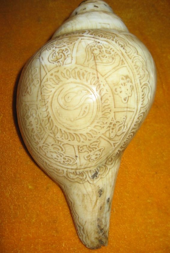 Old Tibetan Buddhist Ritual Carved Shell Trumpet Horn  