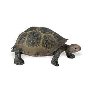 DESERT TORTOISE ~NEW 2010 ~ FREE SHIP $25+SAFARI, Ltd.  